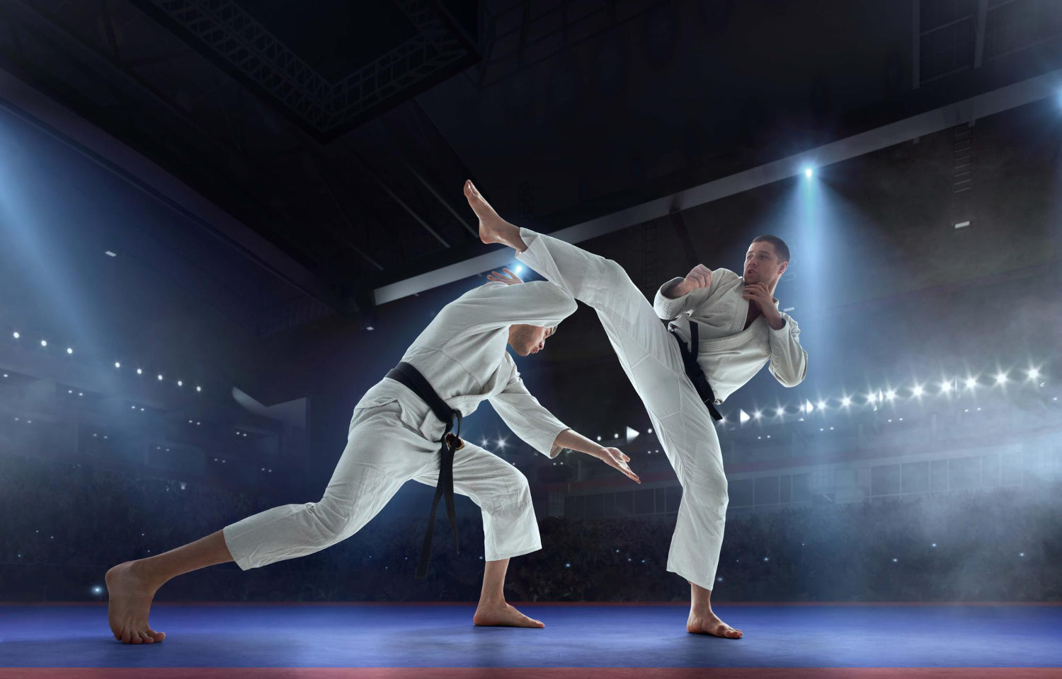 Top BJJ Submission Fighters: Highest Finish Rates in 2025