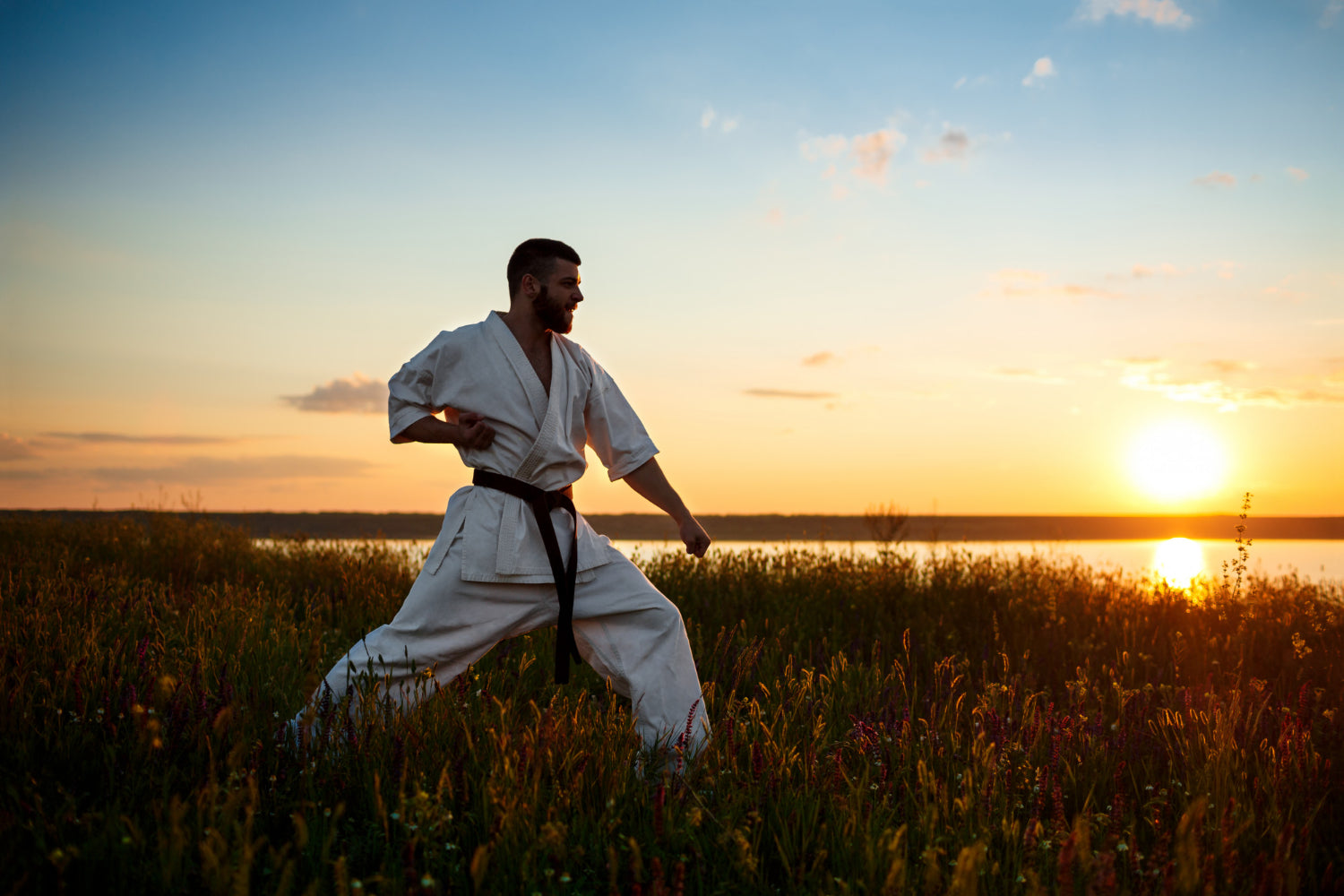 Why Did BJJ Become the New Karate?