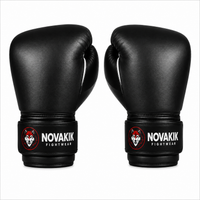 Novakik