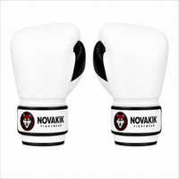 Novakik