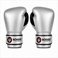 Novakik